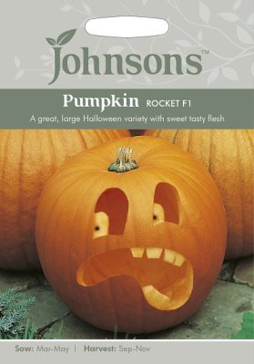 Jättikurpitsa