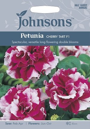 Petunia