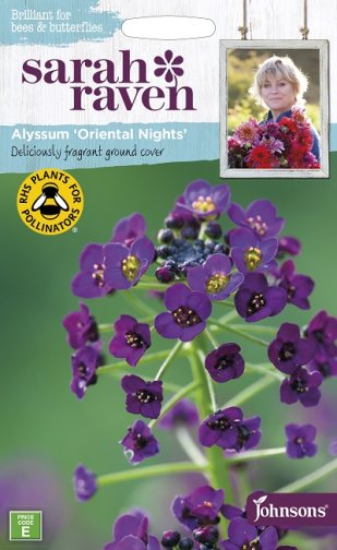 Strandkrassing, alyssum